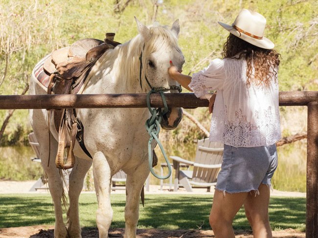 Connecting with Horses 
